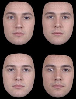A computer-generated face manipulated to look more feminine (top left), more masculine (top right), less healthy (bottom left) and more healthy (bottom right). www.perceptionlab.com 